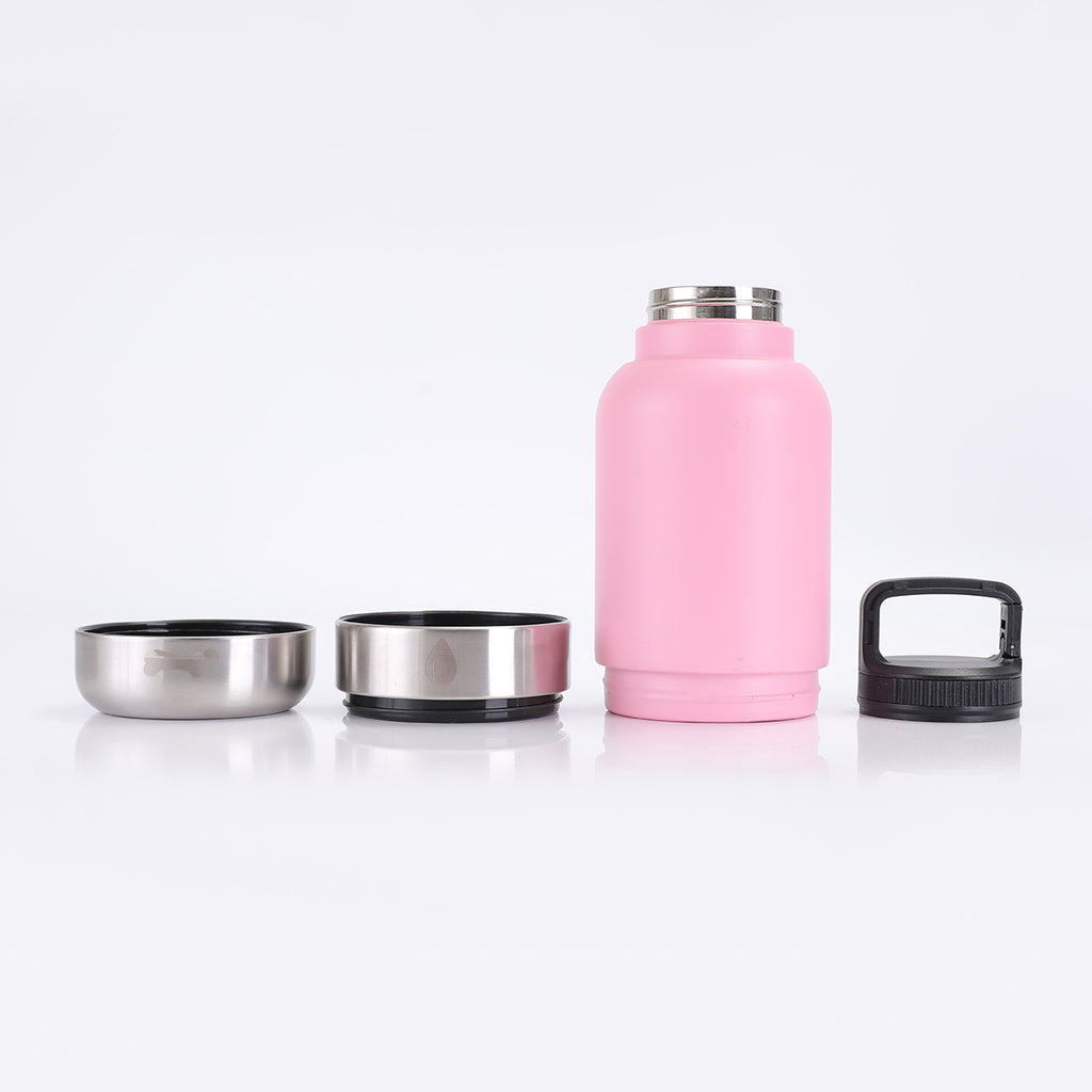 Stainless Steel Dog Water Bottle 3-in-1