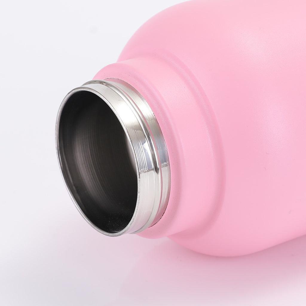 Stainless Steel Dog Water Bottle 3-in-1